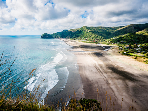 在线呼叫网页版软件